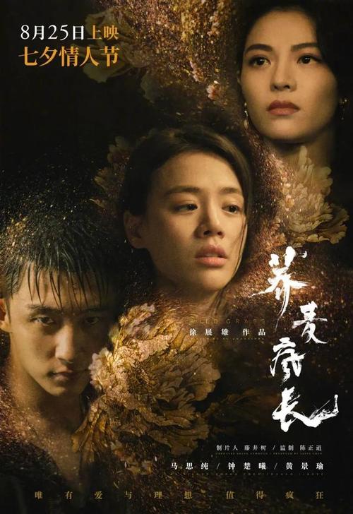 宇都宮大学艺术文凭证书